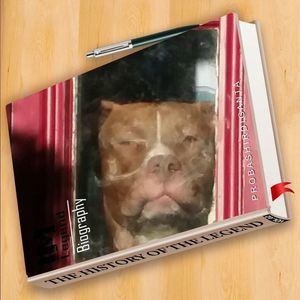 Meet your Posher, Sharon